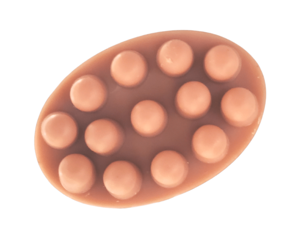 Shampoo Bar